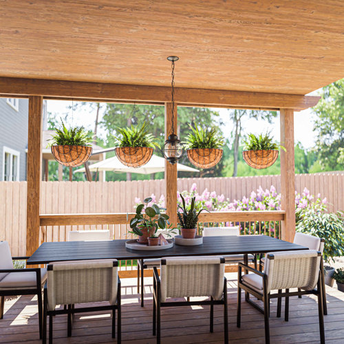 Breakwater Bay Mitchellville Outdoor Hanging Lantern & Reviews Wayfair